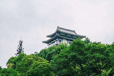 育碧公布《波斯王子：失落的王冠》新预告及演示